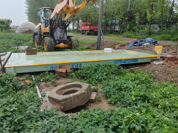 駐馬店新蔡縣新莊農業(yè)合作社30噸地磅